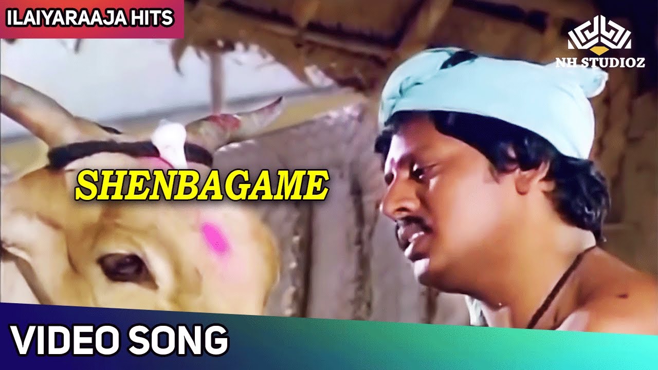  Shenbagame Video Song (Male) | செண்பகமே | Enga Ooru Pattukaran Movie Songs | Mano | Ilaiyaraaja