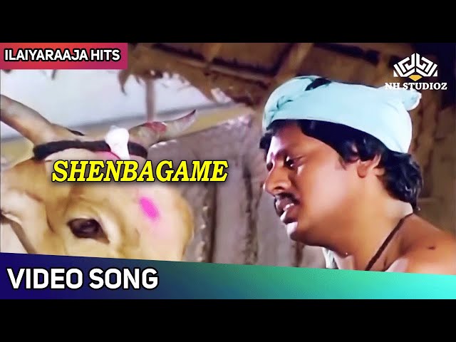 Shenbagame Video Song (Male) | செண்பகமே | Enga Ooru Pattukaran Movie Songs | Mano | Ilaiyaraaja class=