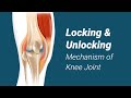 Locking and Unlocking Mechanism of Knee Joint