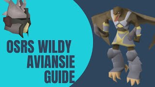Osrs Wilderness Aviansie Guide