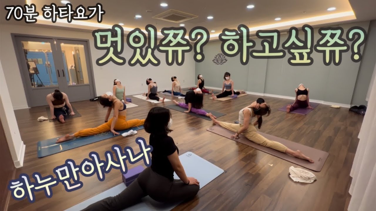 [엔젤요가] 요가하면 꼭 하고픈 워너비 아사나 | 하누만아사나 | 다리찟기 | 스플릿