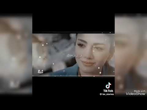 بص من الاخر كده هما كلمتين اسمع وائل هيقولك ايه فوق تعبت امي