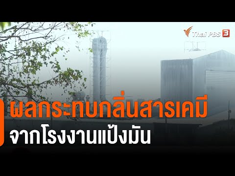 สาย ผลิตภัณฑ์ คือ  2022  ผลกระทบกลิ่นสารเคมีจากโรงงานแป้งมัน อ.ด่านขุนทด จ.นครราชสีมา : สถานีร้องเรียน