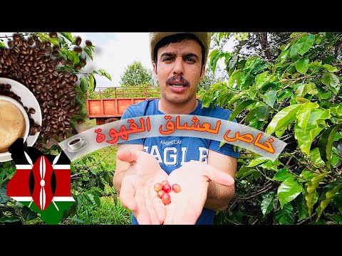 رحلة تحضير القهوة في كينيا أكبر مزرعة قهوة في نيروبي 4
