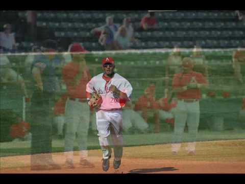 Belmont Abbey College Crusader Baseball 2009