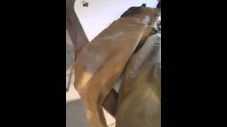 Filson double tin pants review - YouTube