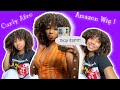 Curly Afro Amazon Wig Review ! (Beauty on a Budget)