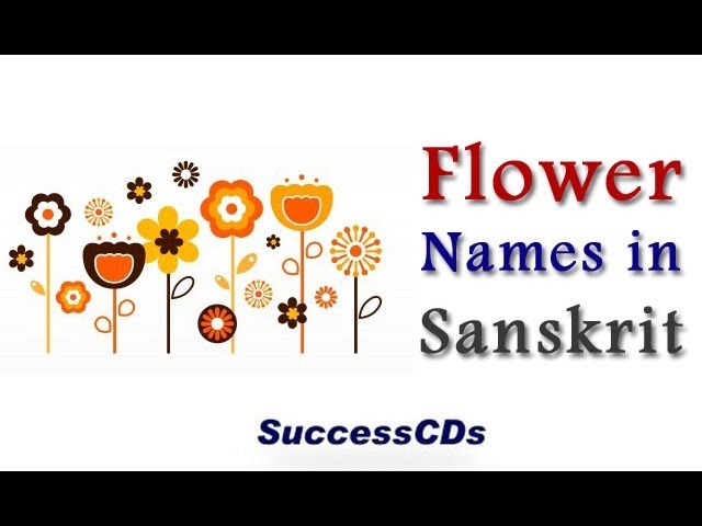 Flower Names In Sanskrit You