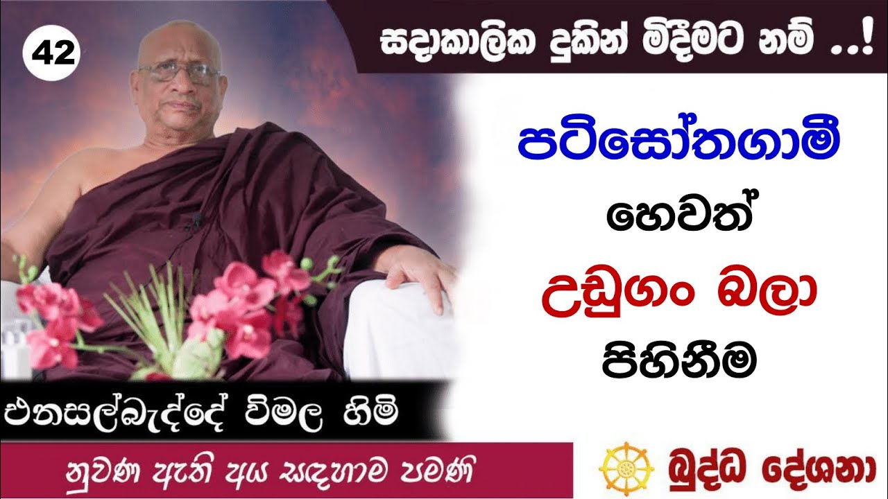 බුද්ධ දේශනා 42   පටිසෝතගාමී හෙවත් උඩුගං බලා පිහිනීම Enasalbadde Wimala Himi