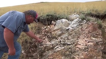 Gold prospecting the Owl Creek Mountains Wyoming. Quartz vein.
