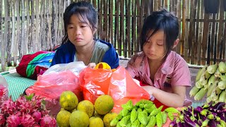 Full video of 60 days of harvesting agricultural products for sale