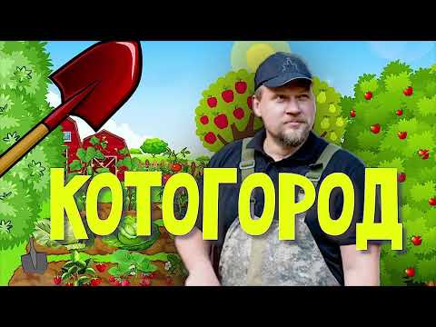 Весенняя прививка черешни в приклад