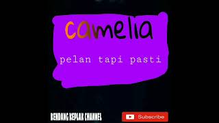 Download Lagu full album camelia (orkes klasic) MP3