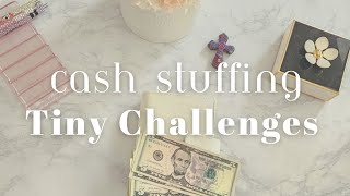 Tiny Savings Challenge Cash Stuffing | Mini Savings Challenges 