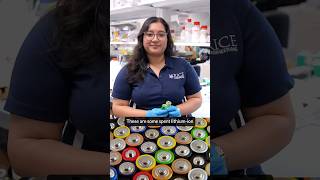 Reinventing Battery Recycling: Plasma Technology That Recovers It All