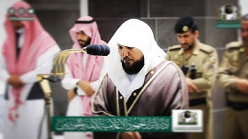“ادخلوها بسلام ذلك يوم الخلود..” تحبير كردي يريح القلوب ويزيل الهموم من بديع تلاوات د. ماهر المعيقلي