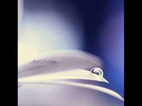 بيني وبين الناس لعبد الحليم حافظ