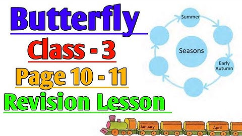 Butterfly | Class 3 | Revision Lesson | Page 10-11 | English | Primary Book @ClassesofPradyutSir