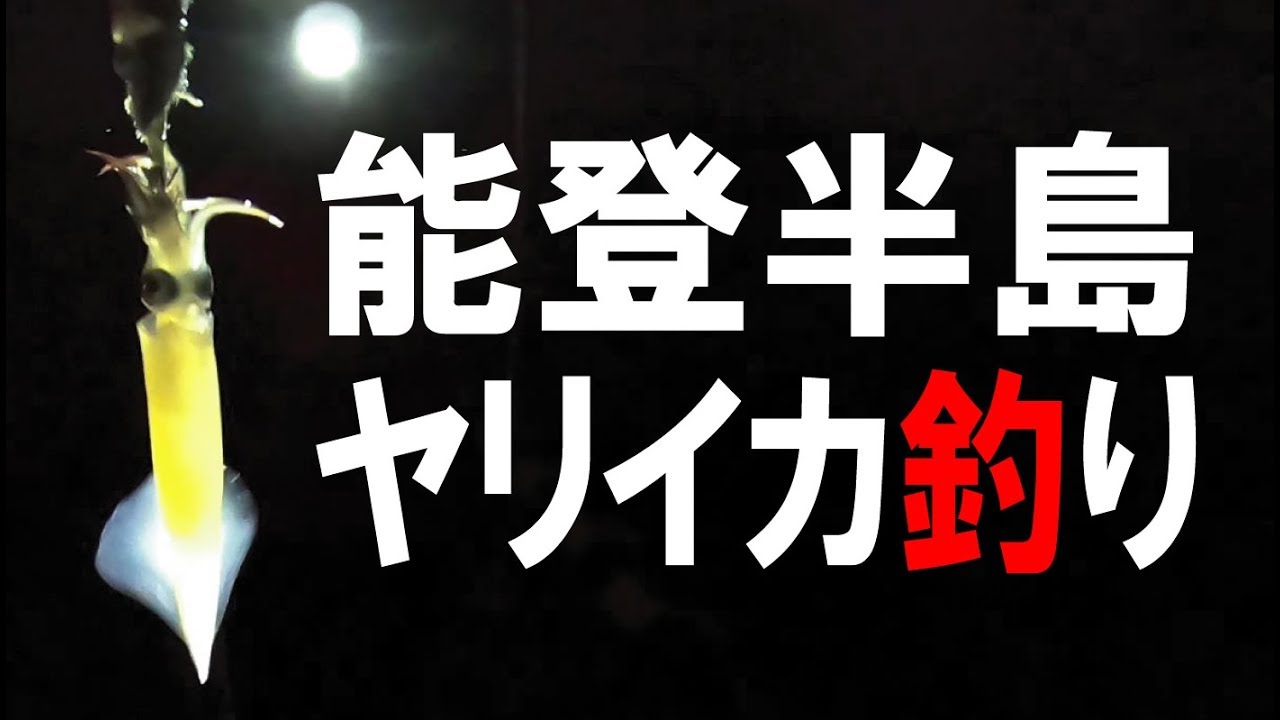 ヤリイカ釣り 能登半島でのんびり夜釣り ヤリイカ2段仕掛け紹介 Youtube