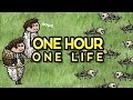 One Hour One Life