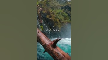 واتس اب قران كريم القارئ ياسر دوسري (سوره غافر)