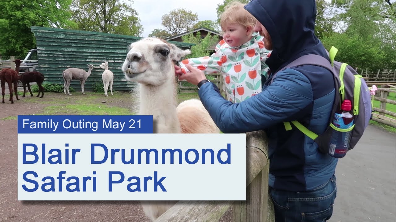 blair drummond safari park video clips