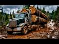 From Giant Trees to Useful Wood Products: The Timber Production Process