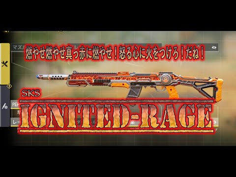 まぁシーズンの奴もご紹介しよう『sks イグナイテッドレイジ』