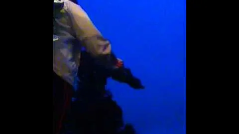 Tyrone graham shouting his m41 bb gun