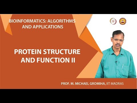 Protein structure and function II