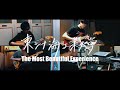東シナ海工業大学 / The Most Beautiful Experience【MV】