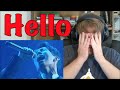 Dimash Kudaibergen - Hello (The Singer 2018) Reaction!
