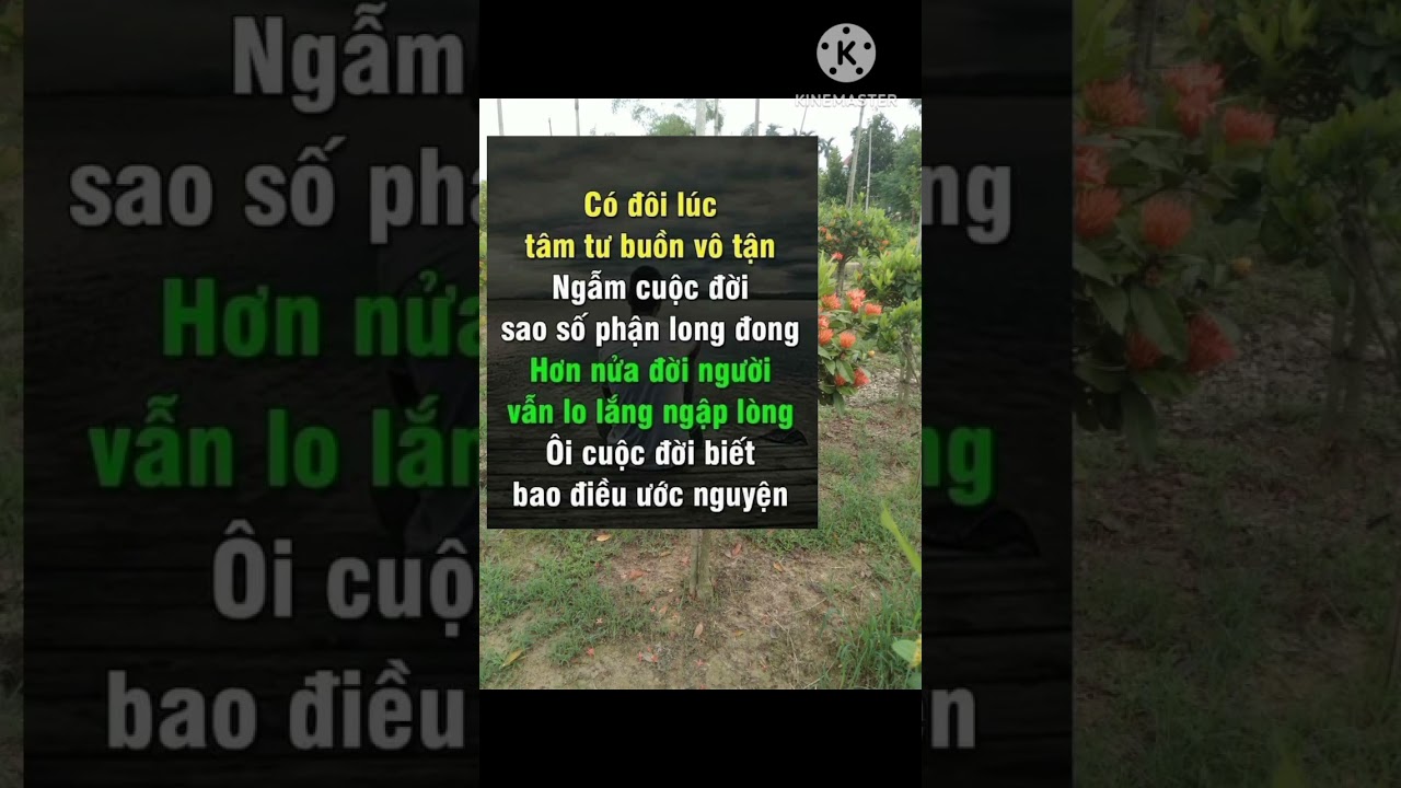 Triết lý cuộc sống 