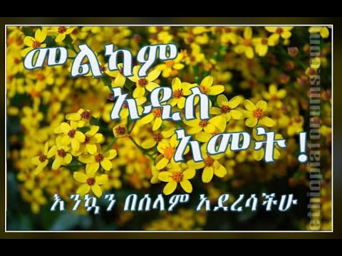 ቪዲዮ: መልካም አዲስ ዓመት ፣ ሃሲንዳ