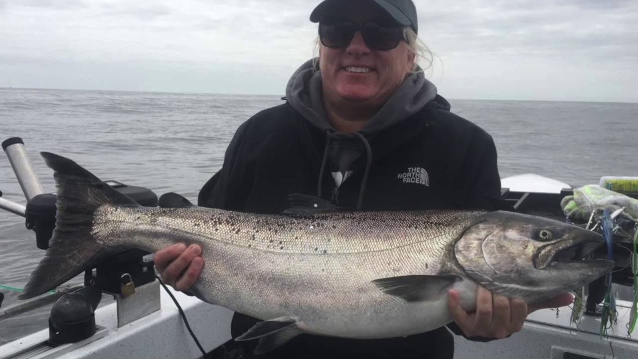 Salt Patrol Fishing Westport for King Salmon YouTube