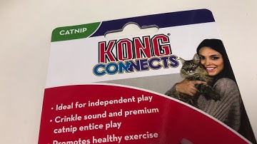 CAT TOY REVIEW KONG CONNECTS CAT WINDOW TEASER