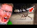 Shocking Things Caught On Camera!