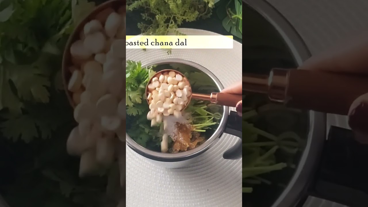 Travel chutney matlab instant chutney ki recipe 