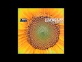 Miniature de la vidéo de la chanson Bee (Sunflower Mix)