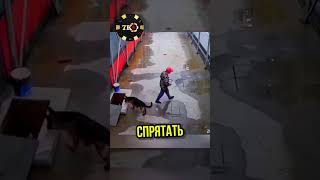 🥺 Она Спасла Своего Друга #shorts