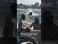 Charging hippo turns boat ride into real-life Hungry Hungry Hippos for tourists in Botswana