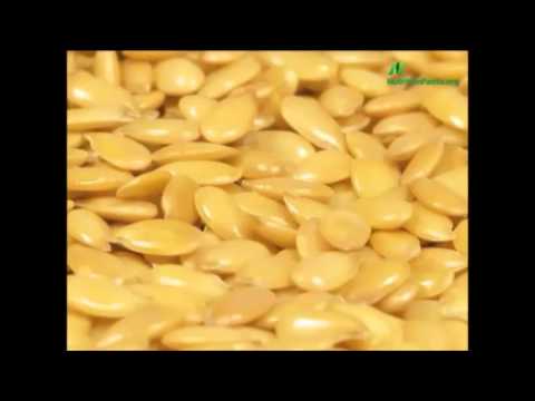 Диета при артрите - Мясо и семена льна Диета при артрите - Мясо и семена льна