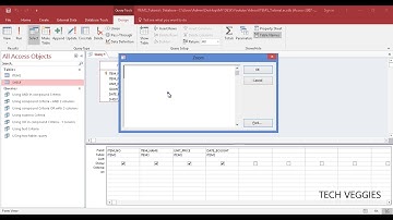 Creating a simple Parameter Query using MS Query Design | Tech Veggies