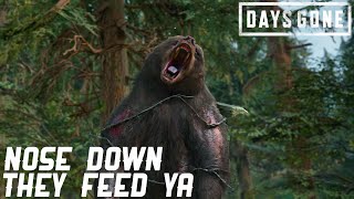DAYS GONE | PART 75 | NOSE DOWN THEY FEED YA (PS4 PRO) NO COMMENTARY