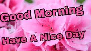 Good morning gif