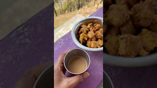 Payaz ki pakodi 😍 #shorts #minivlog
