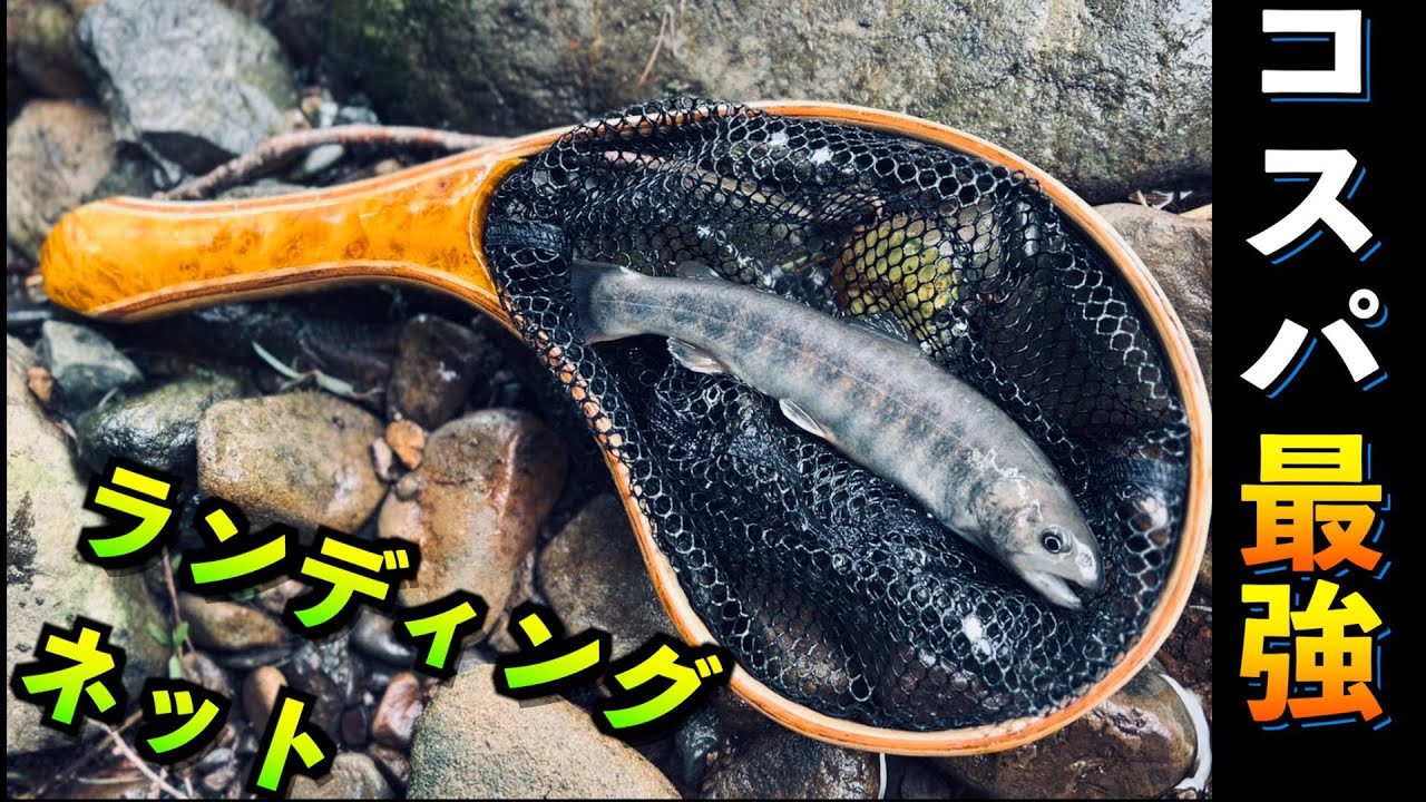 Amazonで格安のランディングネットがコスパ良すぎた！実釣レビュー！