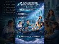 Salesforce Development + LWC Training