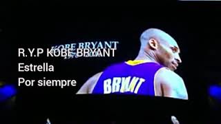 Bad bunny 6 rings➖ homenaje a Kobe Bryant