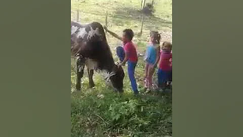 25 de maio de 2018